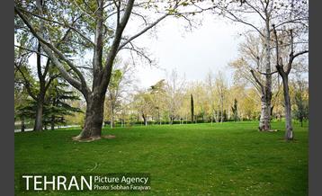 روز طبیعت متفاوت شهر تهران-1 17