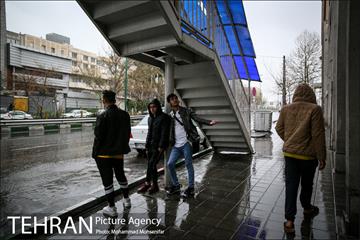بارش باران بهاری در تهران 17