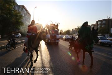 برگزاری اعزای حسینی در بوستان قصر منطقه هفت 12