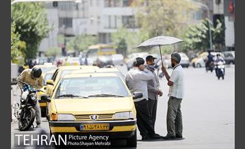 زیر آفتاب سوزان 18