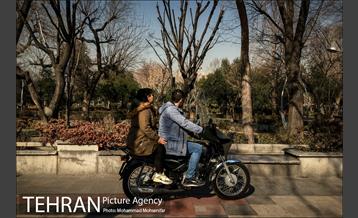 زیر تیغ آفتاب 5