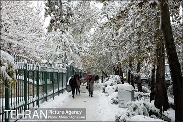 بارش اولین برف پاییزی در تهران 4