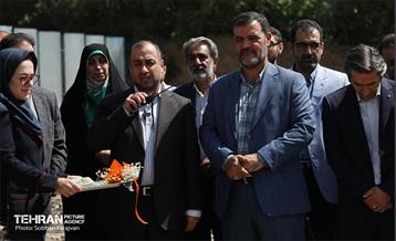 آغاز اجرای ۳ پروژه فرهنگی، ورزشی و تفرجگاهی در منطقه ۱  8