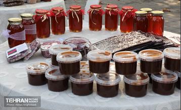 ضیافت طعم و رنگ در منطقه ۹ 7