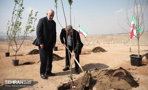 نشست خبری معاون خدمات شهری و محیط زیست 5