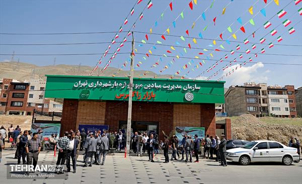افتتاح بازار میوه و تره‌بار در منطقه 22 33