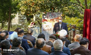 چهارمین جشنواره خرمالوی کن 21