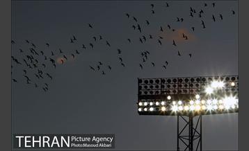 دیدار استقلال و پدیده در لیگ برتر فوتبال