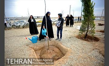 آیین کاشت درخت ایثار و امنیت 33