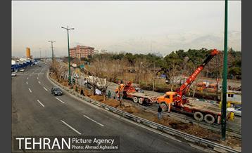 تلاش ویژه شهرداری برای نجات زندگی حدود یکصد درخت اتوبان نیایش 18