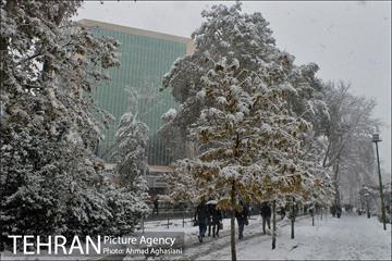 بارش اولین برف پاییزی در تهران 31