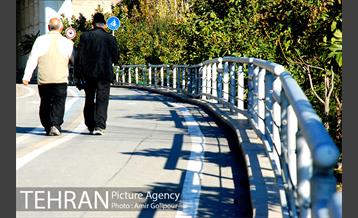 پاییز رنگارنگ بوستان جوانمردان ایران 2