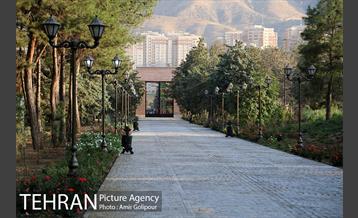 باغ راز هستی 1