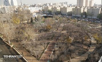 هشتادوششمین رویداد امیدوافتخار 22