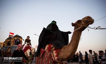 کاروان نمادین اسرای کربلا در مسیر طویریج  31