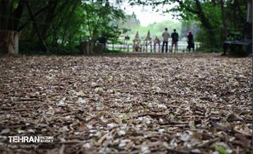 باغ گیاه‌شناسی 15