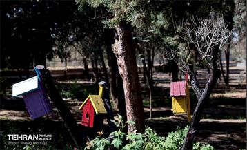 بازدید اصحاب رسانه از روند انجام عملیات احیای چیتگر 34