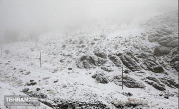بارش برف زمستانی در تهران 31