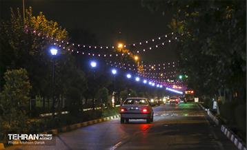 رفیوژ های همیشه سبز 5