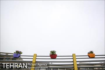 استقبال از بهار در خیابانهای تهران 27