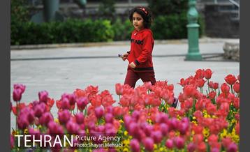 رویش گل لاله در پارک شهر 25