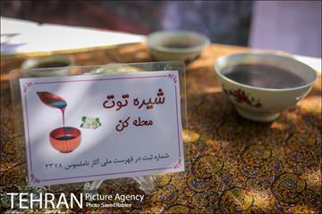 سومین دوره جشنواره توت کن 3
