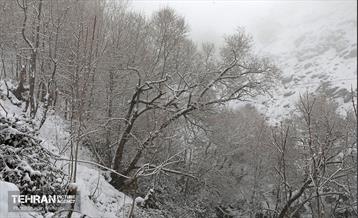 بارش برف زمستانی در تهران 20