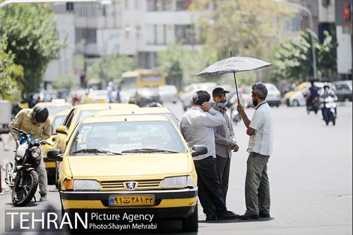 زیر آفتاب سوزان 18