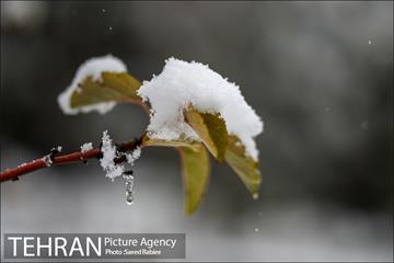 برف زمستانی پارک جمشیدیه 8