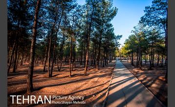 بوستان جنگلی چیتگر 24