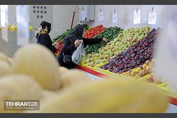 بازار میوه و تره‌بار میخک 9