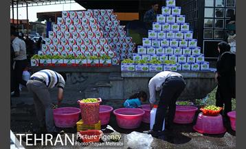 بازار میوه تربار مرکزی 36