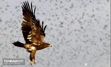 تور بازدید عکاسان از مجتمع آرادکوه 1