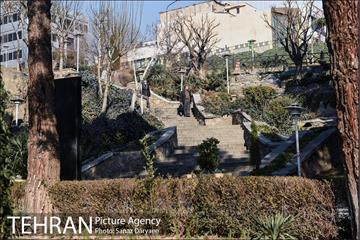 پارک ساعی 16
