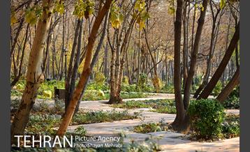 پاییز باغ ایرانی 18