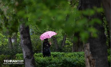 تیتر هوای بهاری تهران 1