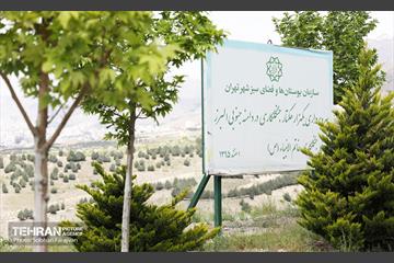 بازدید اصحاب رسانه از کمربند سبز 13