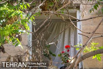 پنجره های شهر تهران 11