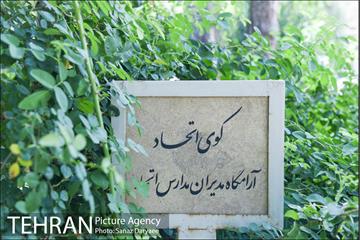 بهشتیه تهران 19
