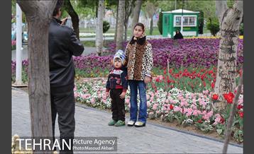 جشنواره لاله‌ها در بوستان زندگی محله هرندی 8
