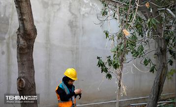 مسابقات تیم‌های عملیاتی دوام محلات شهر تهران 6