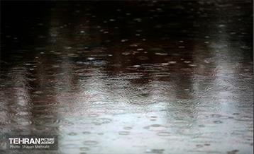 بارش باران زمستانی در تهران 12