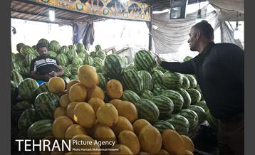 زائران اربعین حسینی 2 11