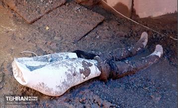 سیل در منطقه کَن