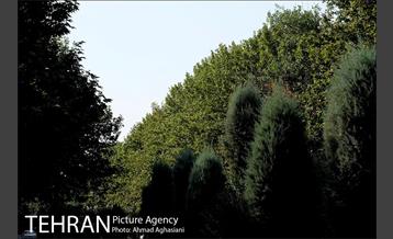 پارک جنگلی چیتگر 5