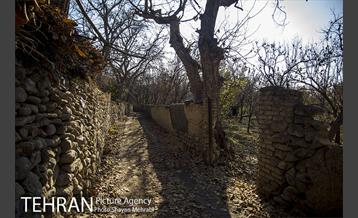 کوچه باغ های محله کن 41