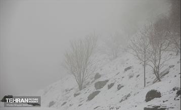 بارش برف زمستانی در تهران 27