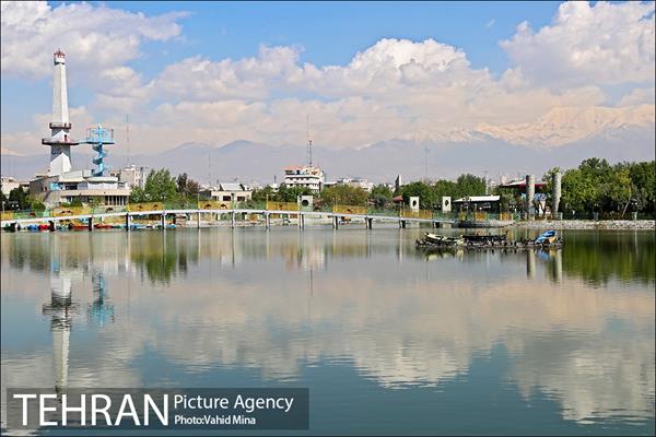 حضور پرندگان مهاجر در تهران 6