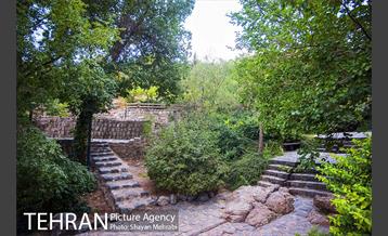 بوستان جمشیدیه 25