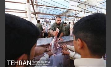 عرضه بهداشتی دام در جایگاه منطقه 2 شهرداری تهران  28